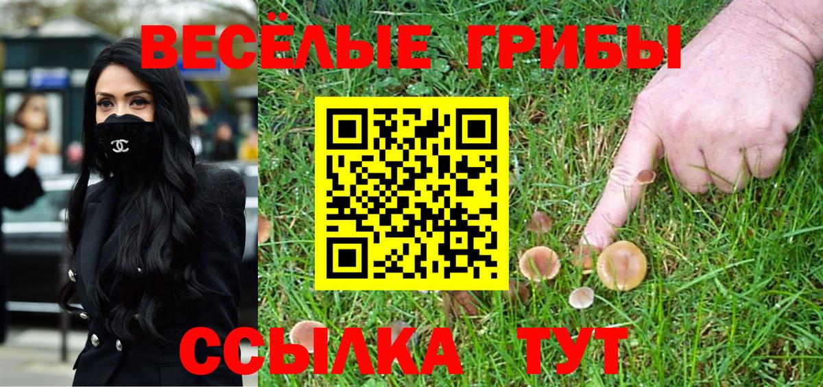 Псилоцибиновые грибы Magic Shrooms Конаково